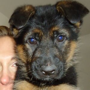 Meet your Posher, Tamara